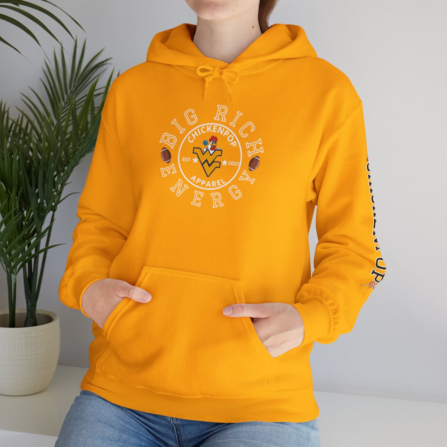 Big Rich Energy WV Logo Unisex Hoodie - ChickenPop Arm Logo Edition