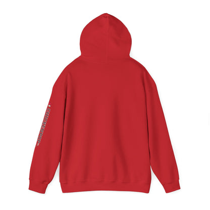 Don't Be A Devries Funny Unisex Hoodie