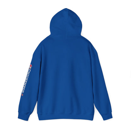 Pride Month Hoodie – ChickenPop Apparel | Rainbow Logo with Coop Daddy – Unisex LGBTQ+ Sweatshirt